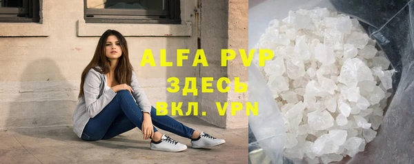 индика Алексин