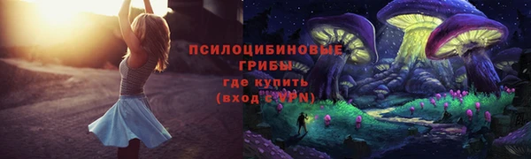 бошки Алзамай