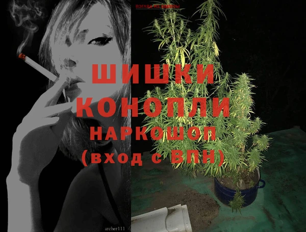 индика Алексин