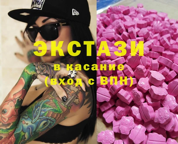индика Алексин