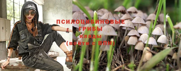 индика Алексин
