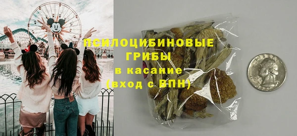 индика Алексин