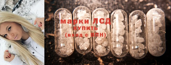 индика Алексин