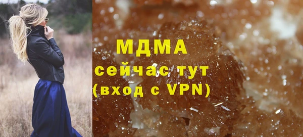 индика Алексин