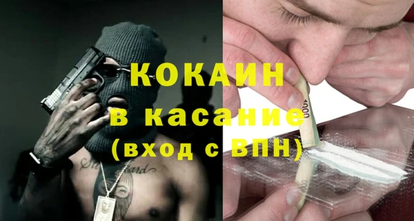 индика Алексин