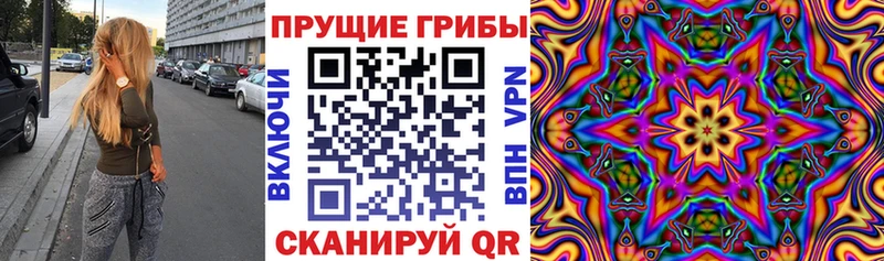 как найти   Томск  мега ссылки  Галлюциногенные грибы MAGIC MUSHROOMS 